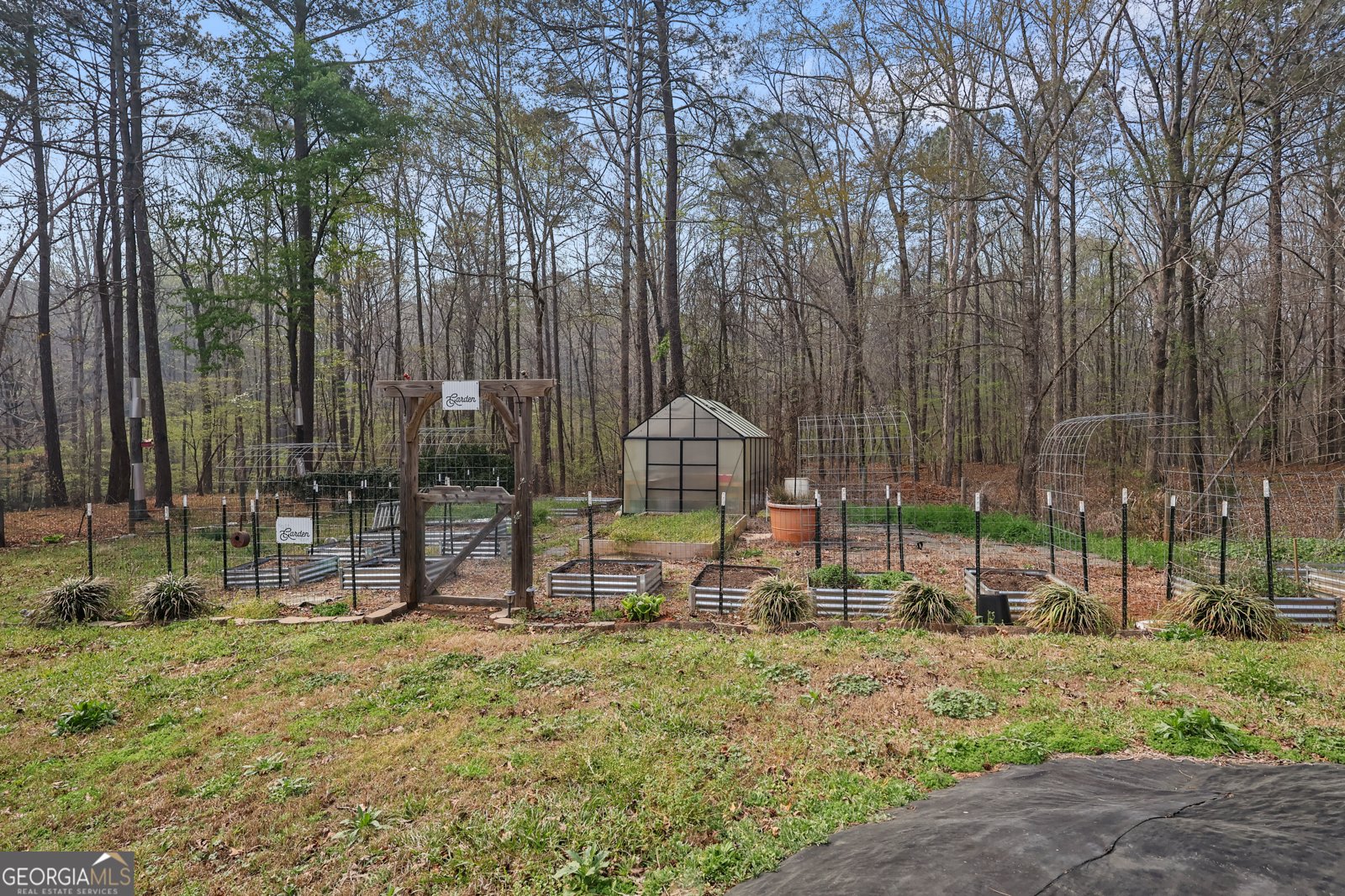 670 Highway 87 Flovilla - Photo 23