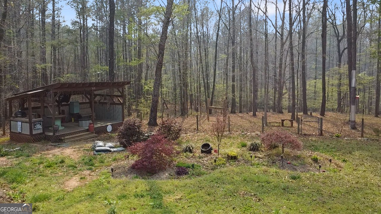 670 Highway 87 Flovilla - Photo 30