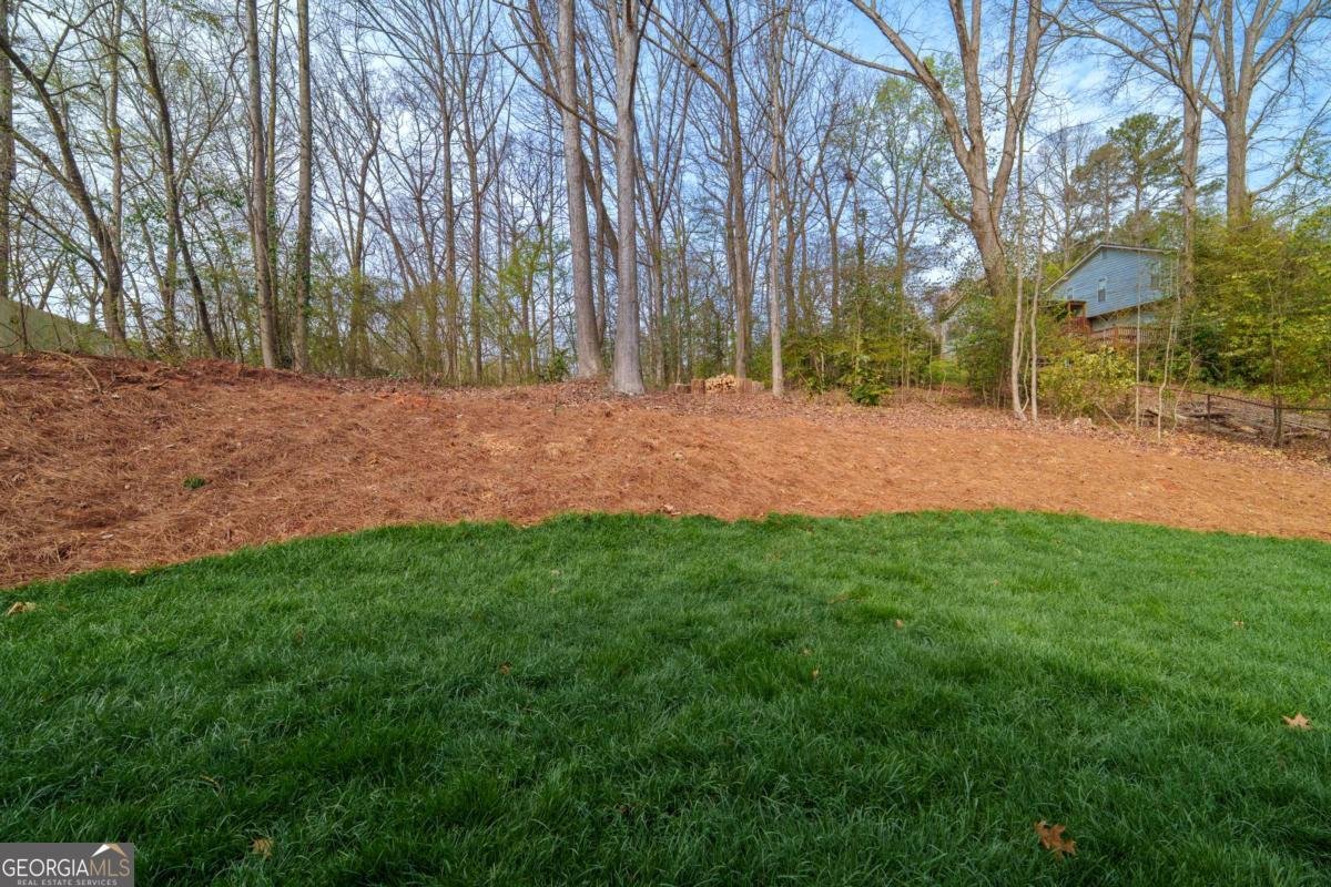 229 Little Brook Drive Woodstock - Photo 30