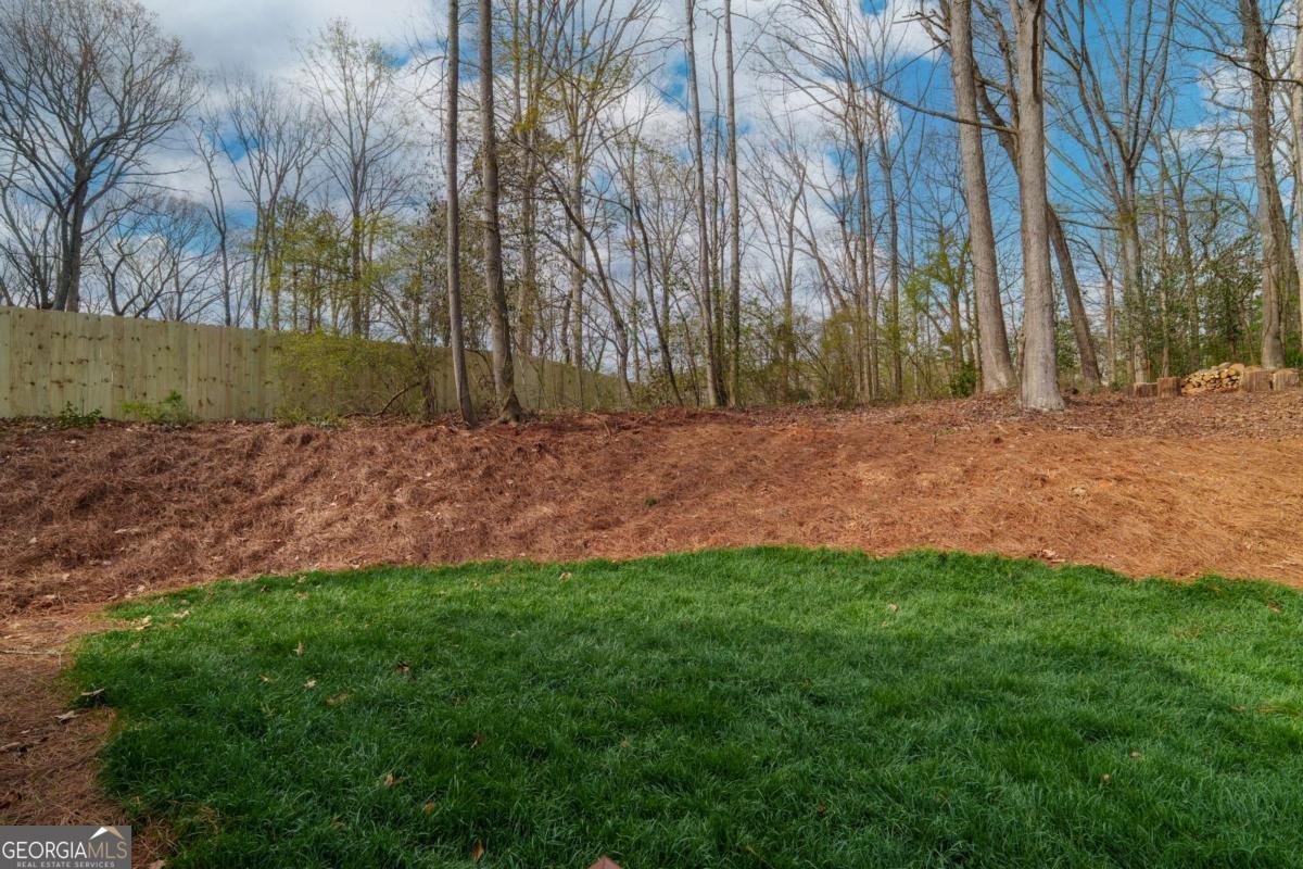 229 Little Brook Drive Woodstock - Photo 31