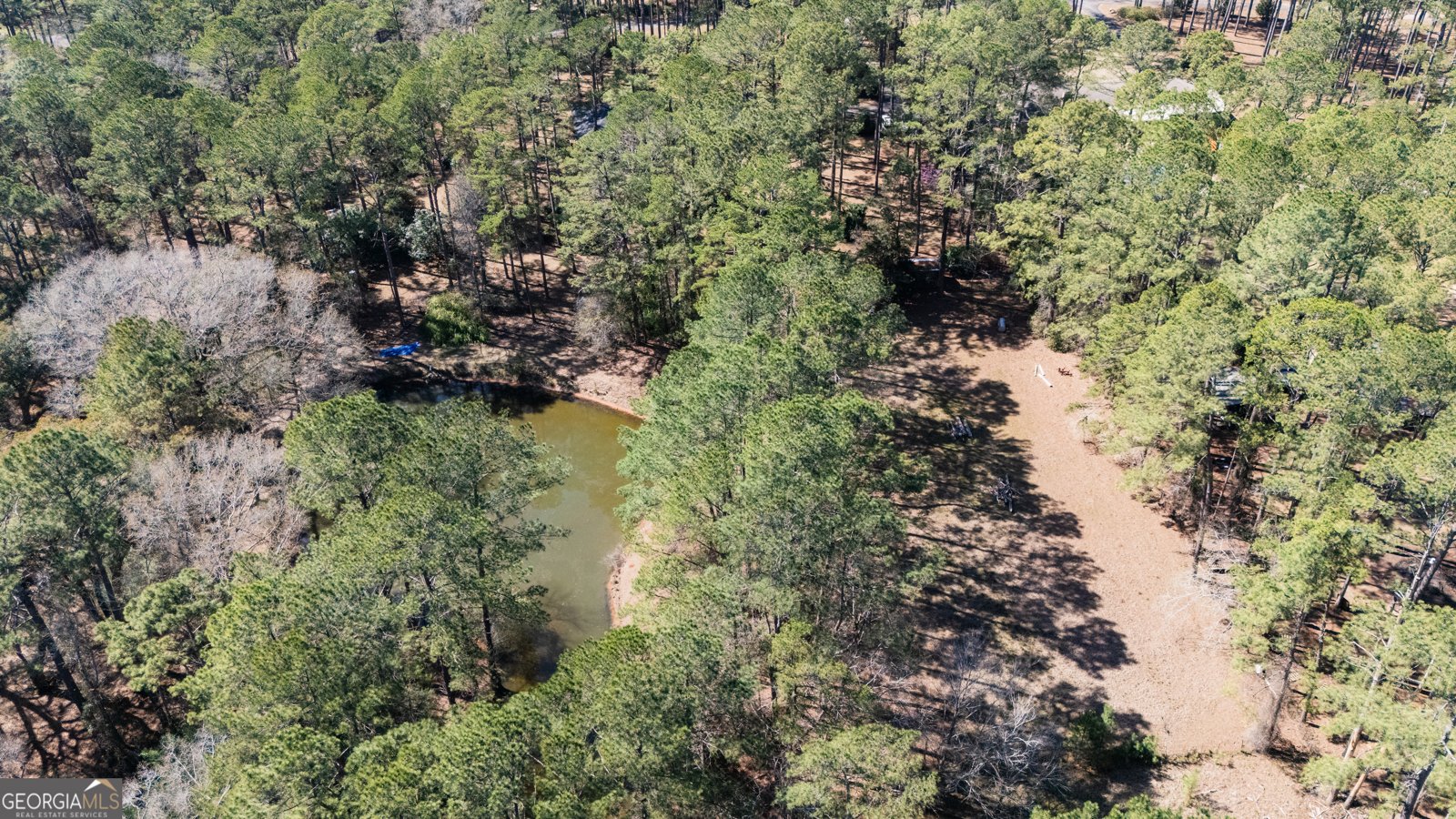 1270 Wadsworth Drive Albany - Photo 10