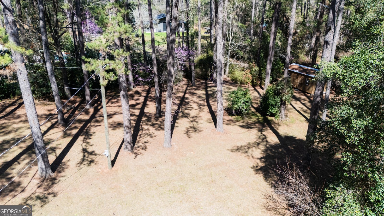 1270 Wadsworth Drive Albany - Photo 13