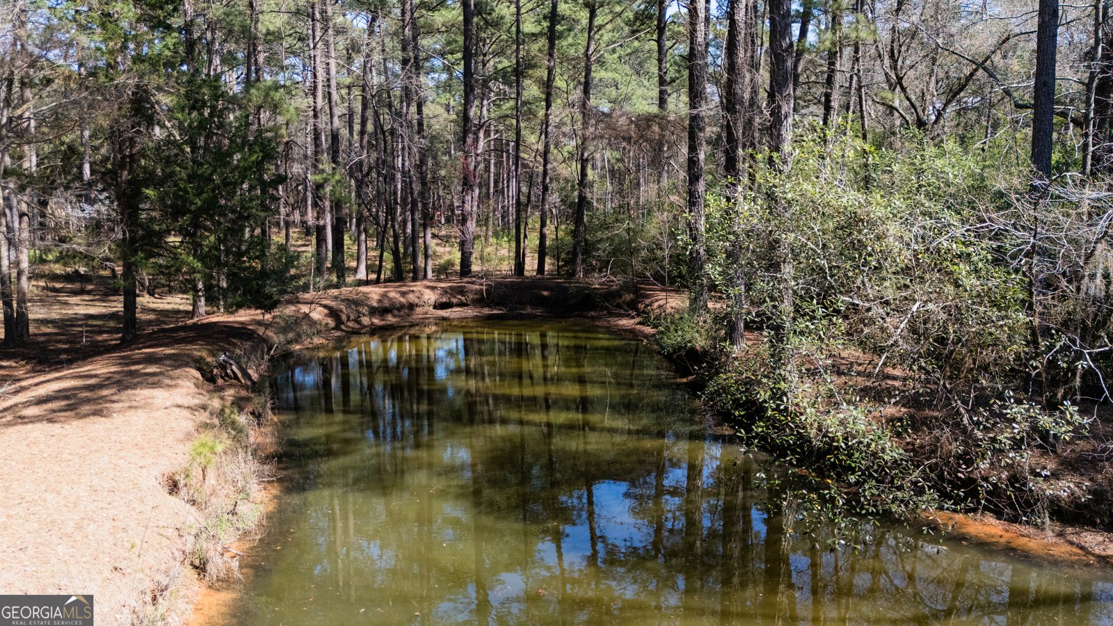 1270 Wadsworth Drive Albany - Photo 14