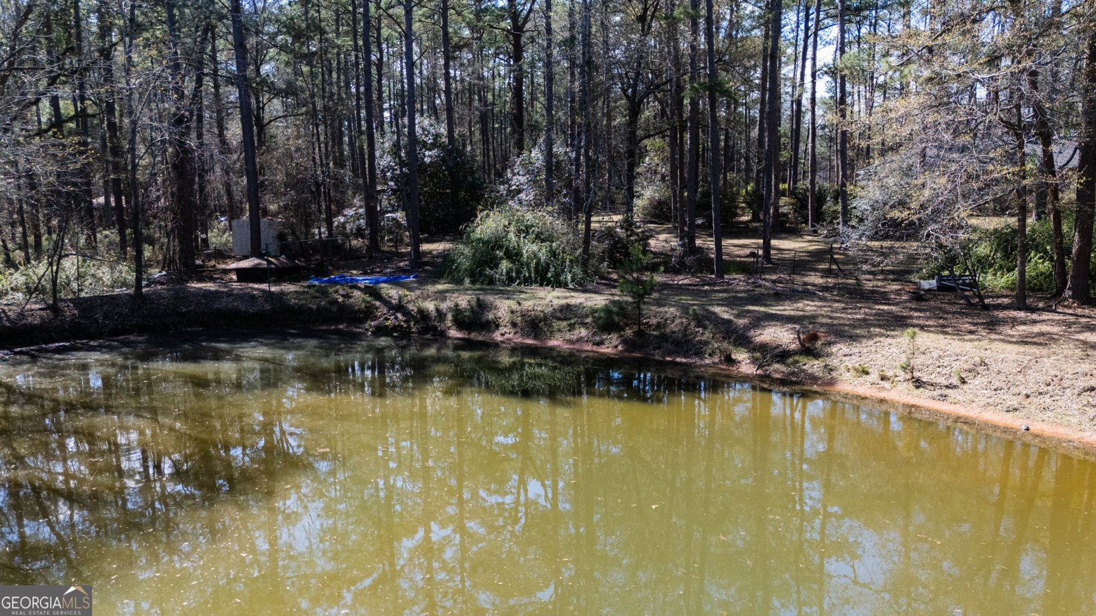 1270 Wadsworth Drive Albany - Photo 15