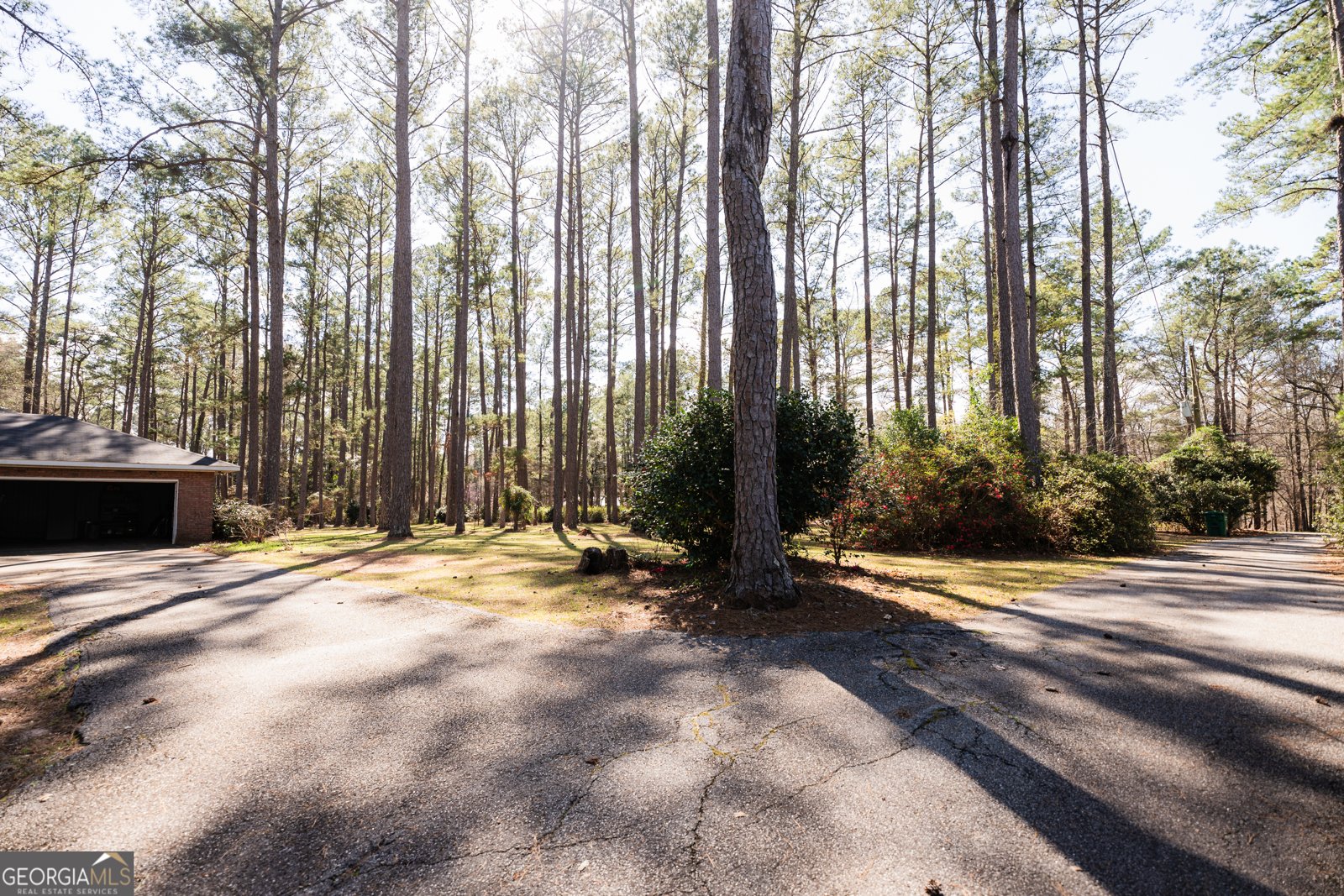 1270 Wadsworth Drive Albany - Photo 17