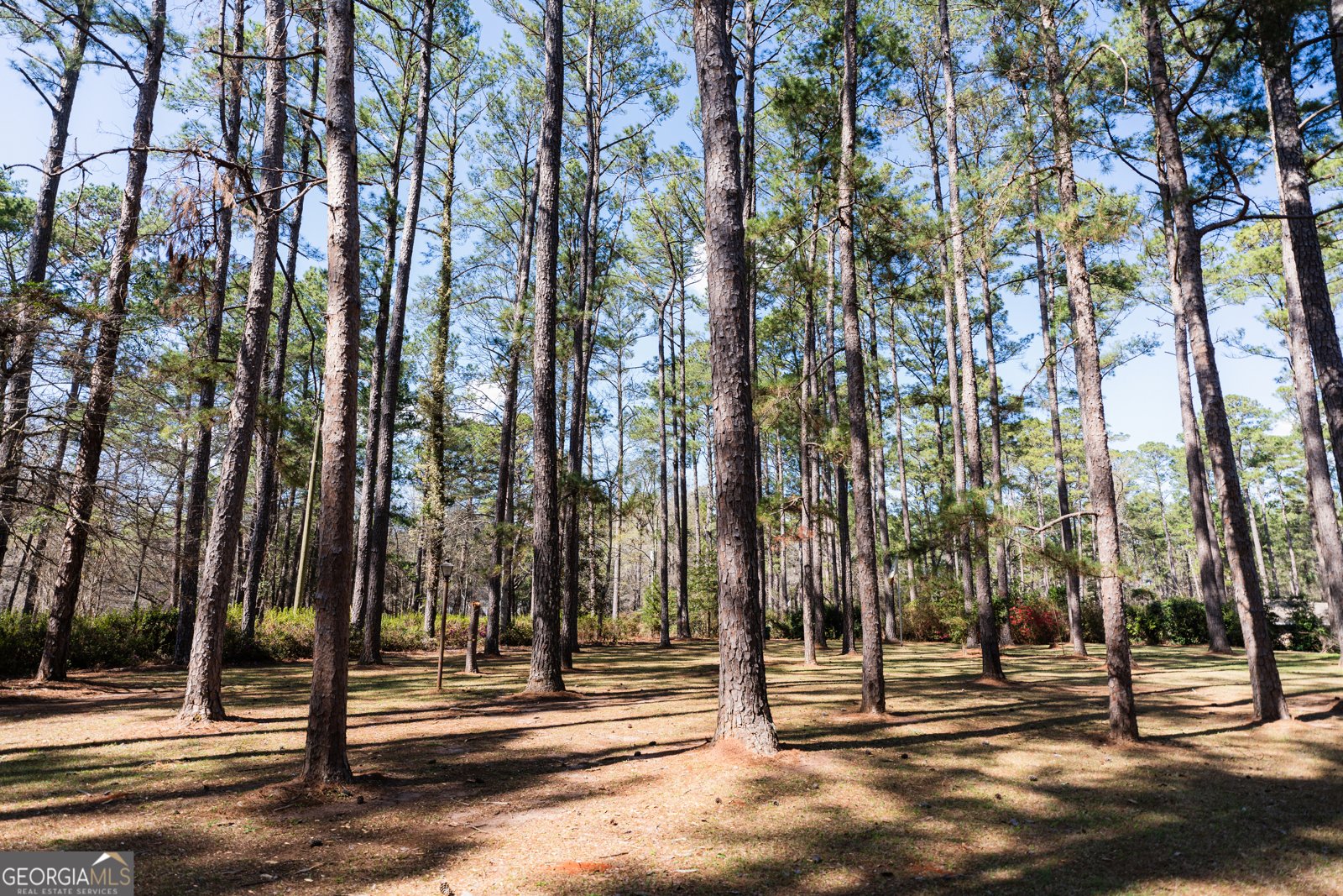 1270 Wadsworth Drive Albany - Photo 25