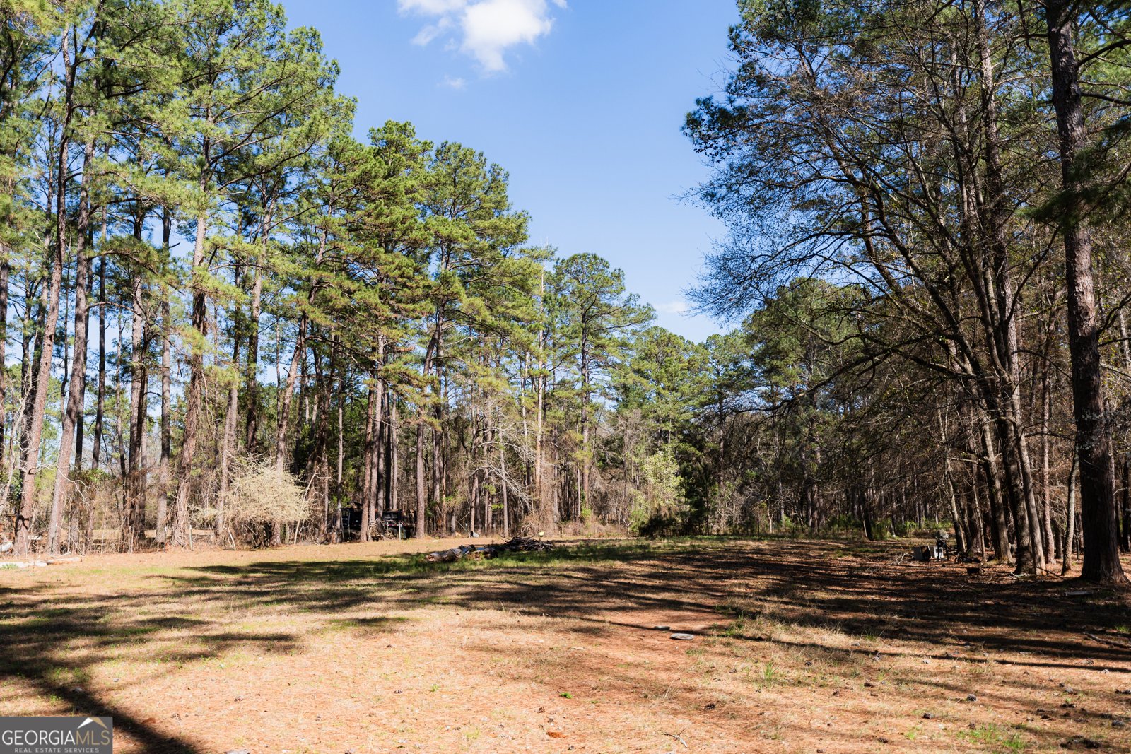 1270 Wadsworth Drive Albany - Photo 31