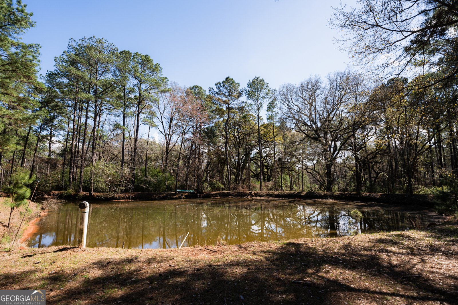 1270 Wadsworth Drive Albany - Photo 32