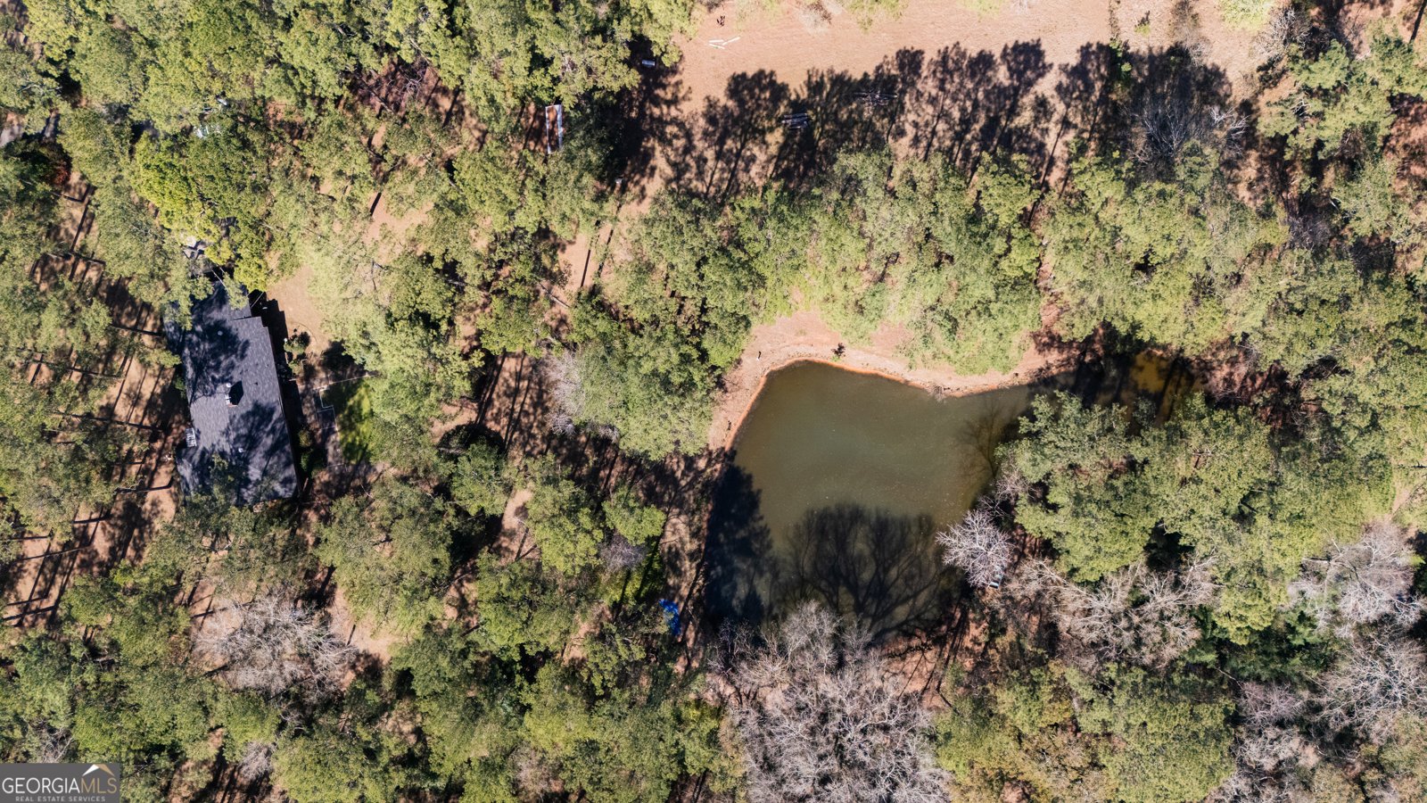 1270 Wadsworth Drive Albany - Photo 8