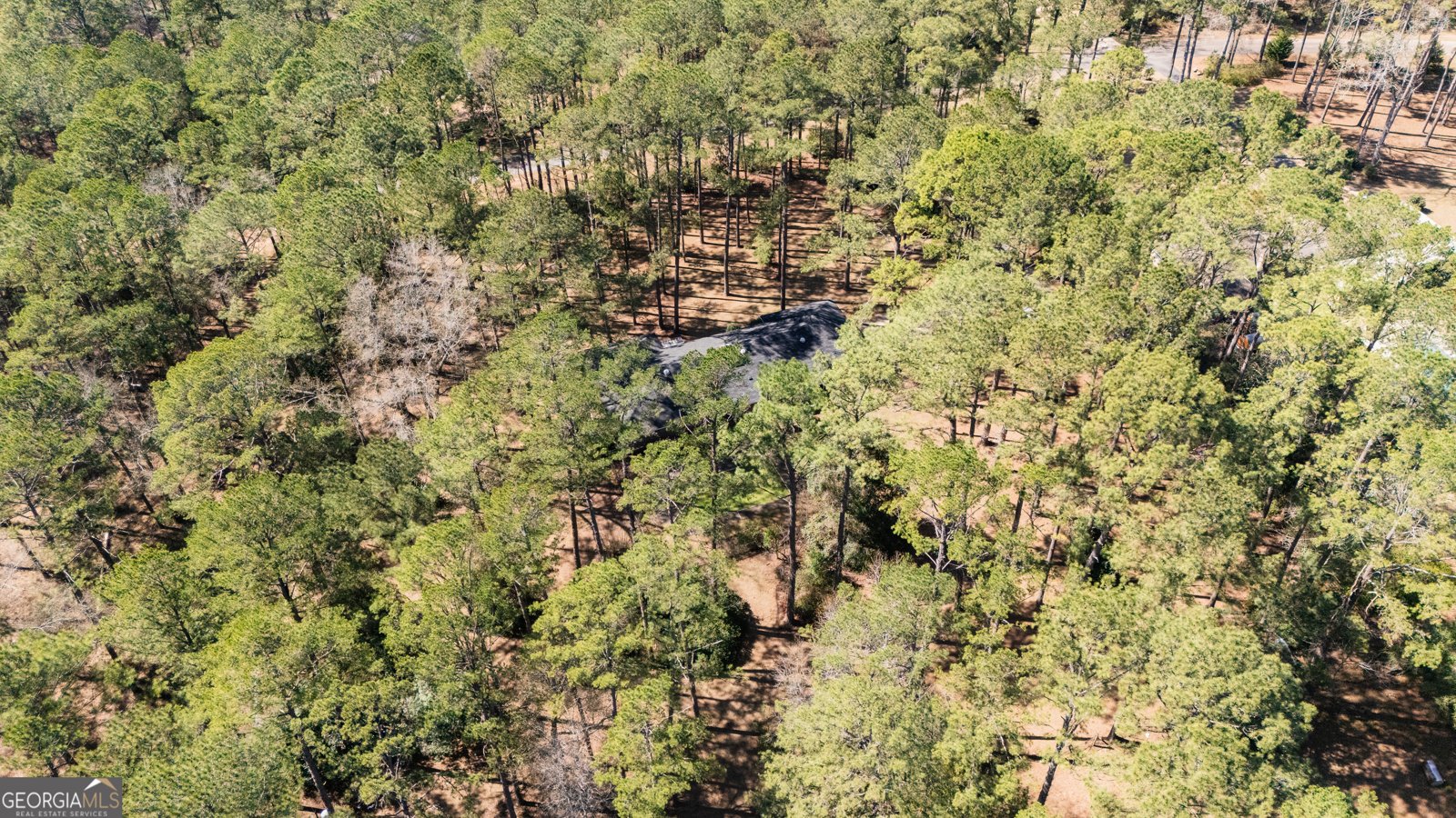 1270 Wadsworth Drive Albany - Photo 9