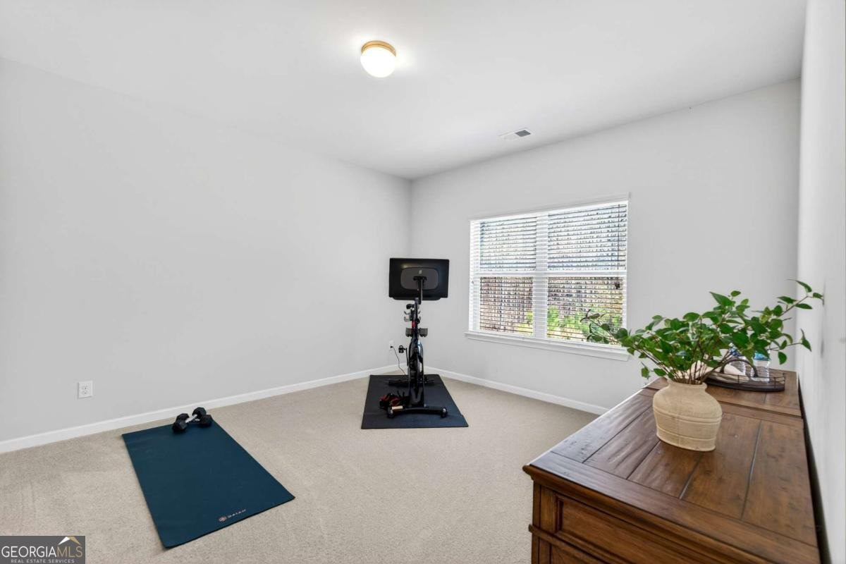 3690 Begonia Way Alpharetta - Photo 33