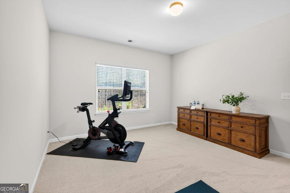 3690 Begonia Way Alpharetta - Photo 34