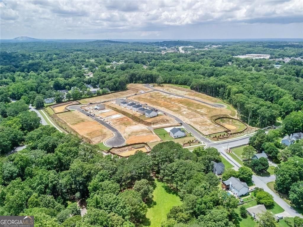 1835 PEACEFUL PINE Avenue Snellville - Photo 10