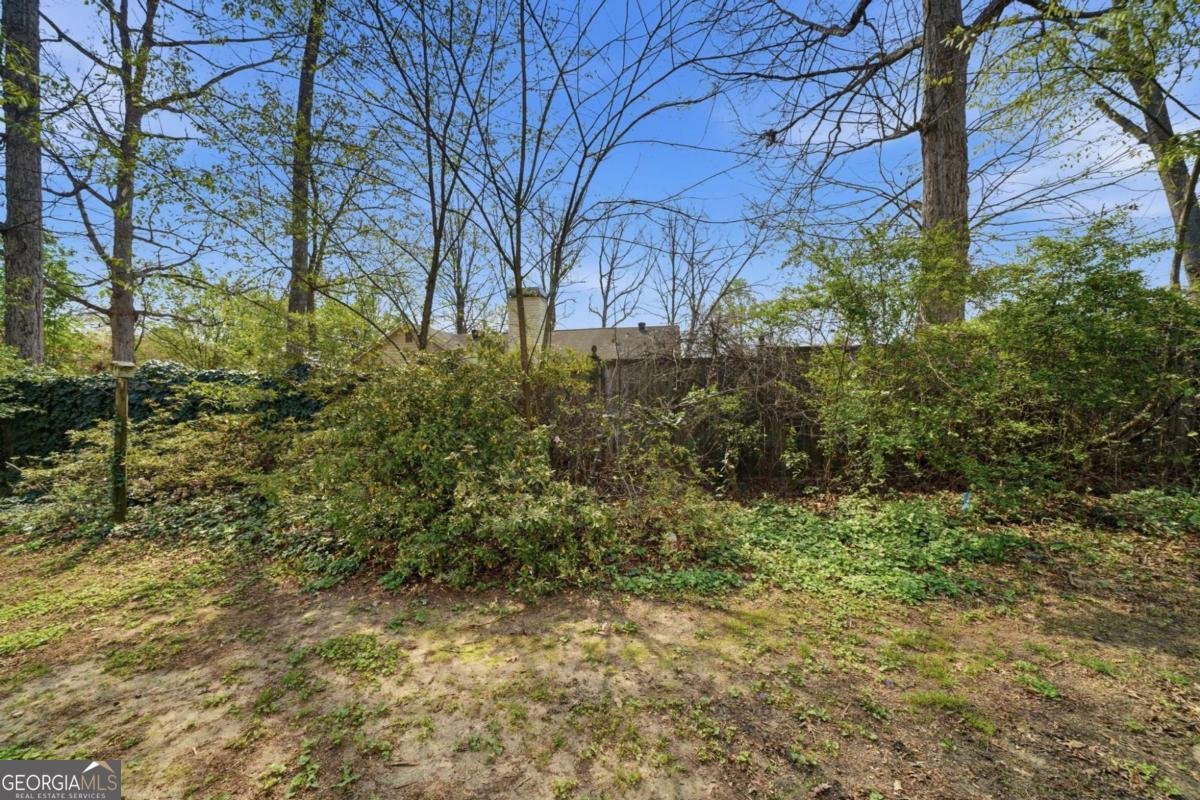 2333 Ettas Circle Conyers - Photo 26