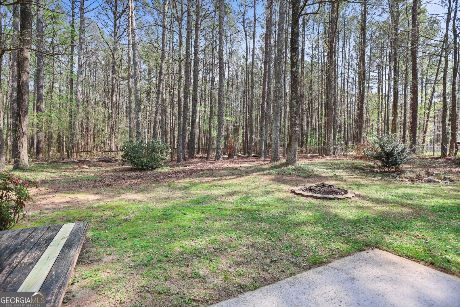 65 Posey Woods Drive Newnan - Photo 33
