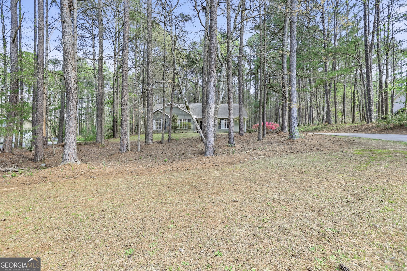 65 Posey Woods Drive Newnan - Photo 35