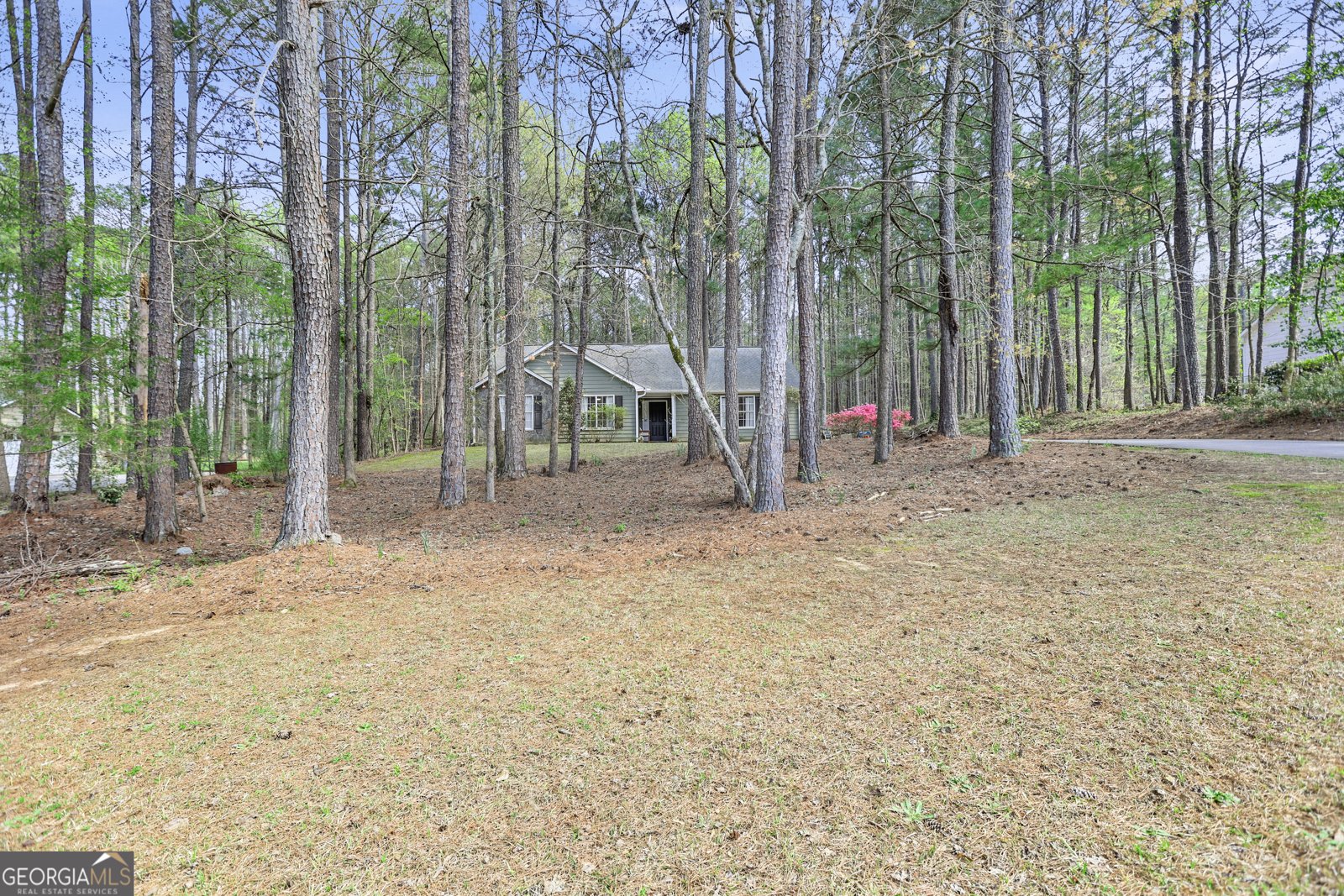65 Posey Woods Drive Newnan - Photo 36
