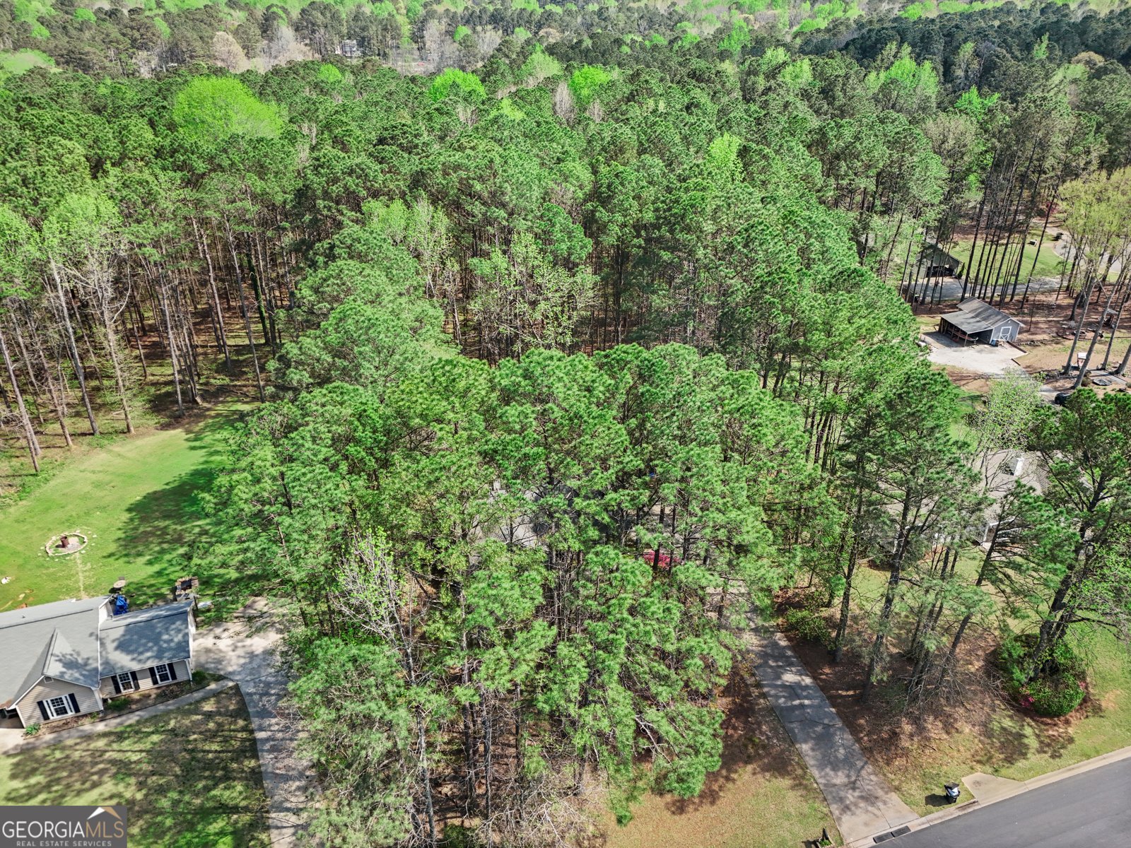 65 Posey Woods Drive Newnan - Photo 37