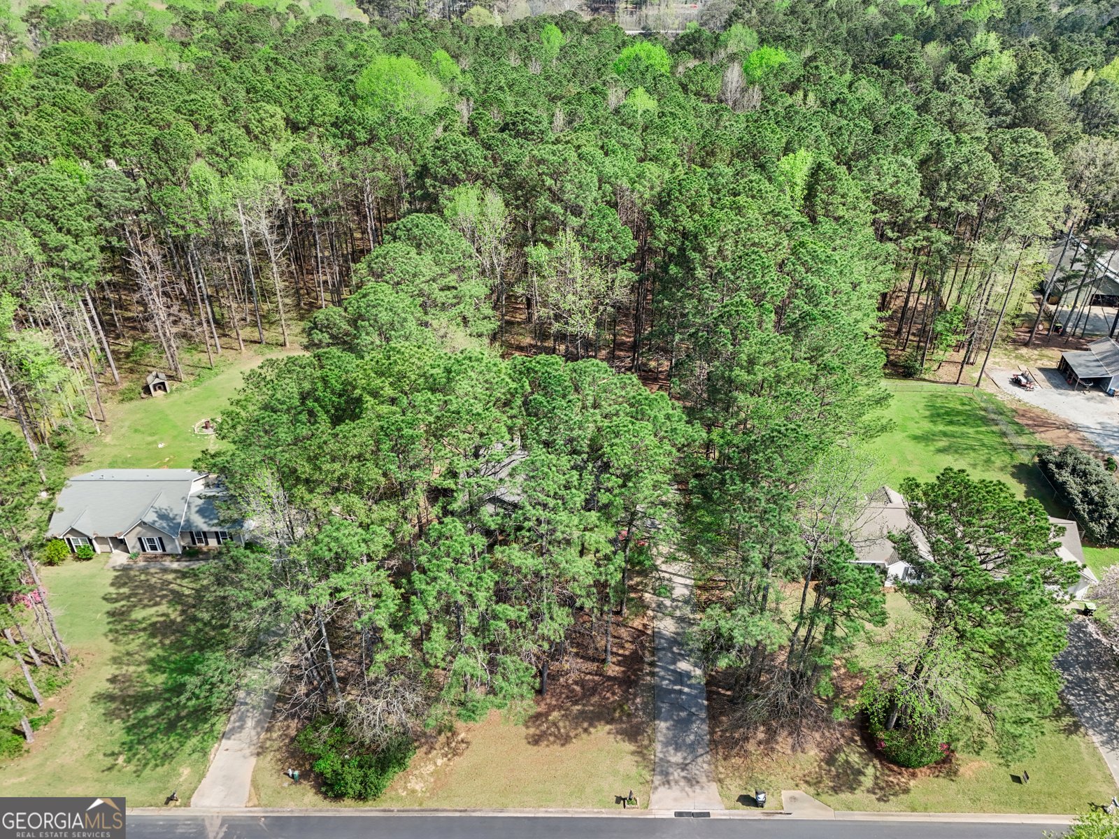 65 Posey Woods Drive Newnan - Photo 38