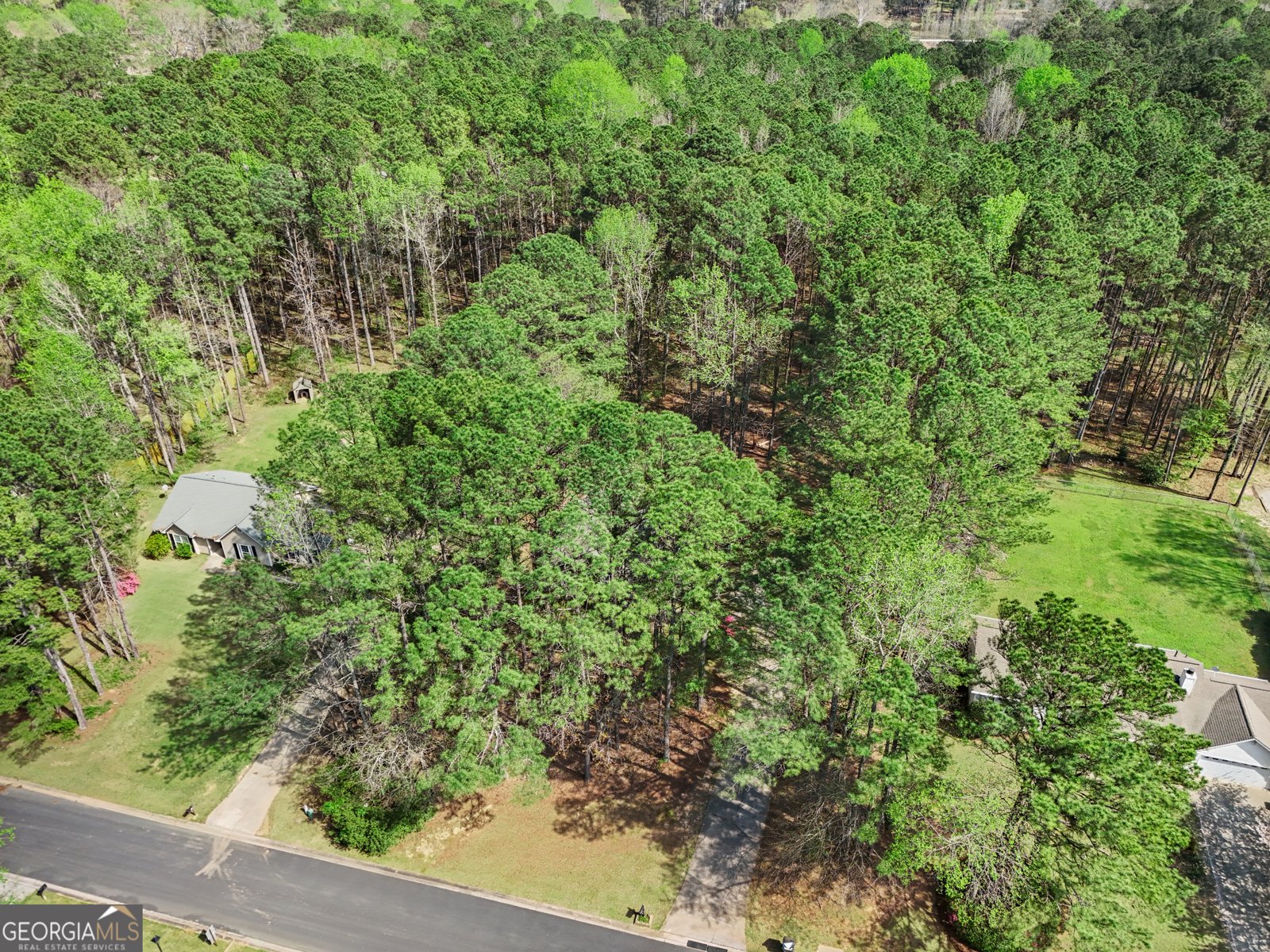 65 Posey Woods Drive Newnan - Photo 39