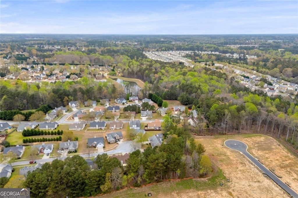 1291 Tumblerock Court Loganville - Photo 47