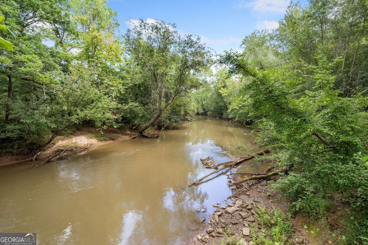 8150 Scenic Ridge Way Ball Ground - Photo 63