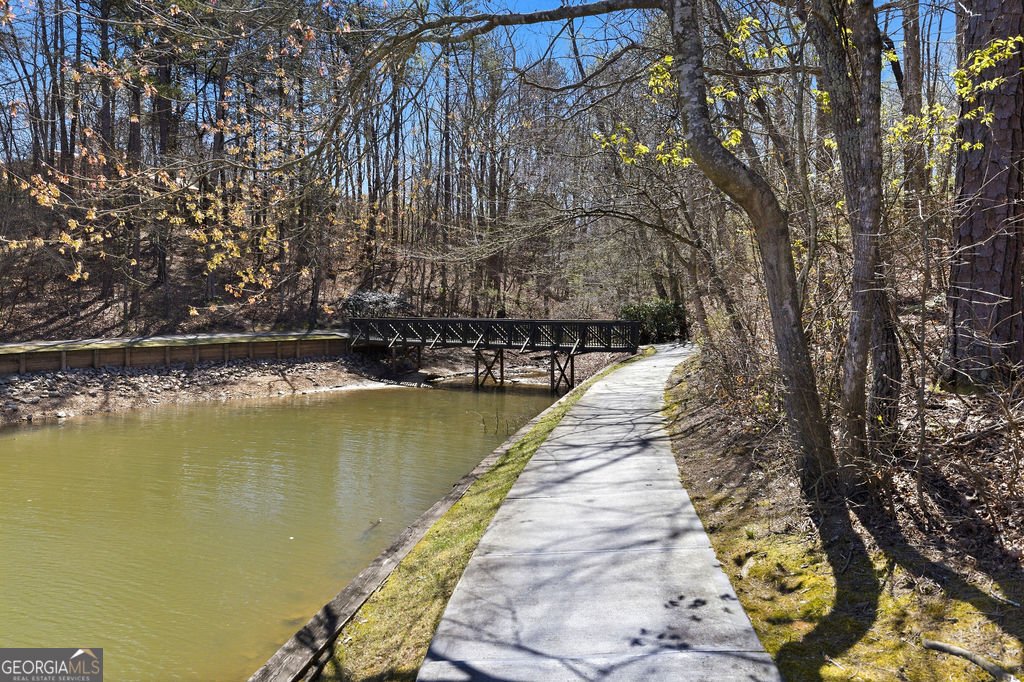 135 Night Fire Lane Dawsonville - Photo 75