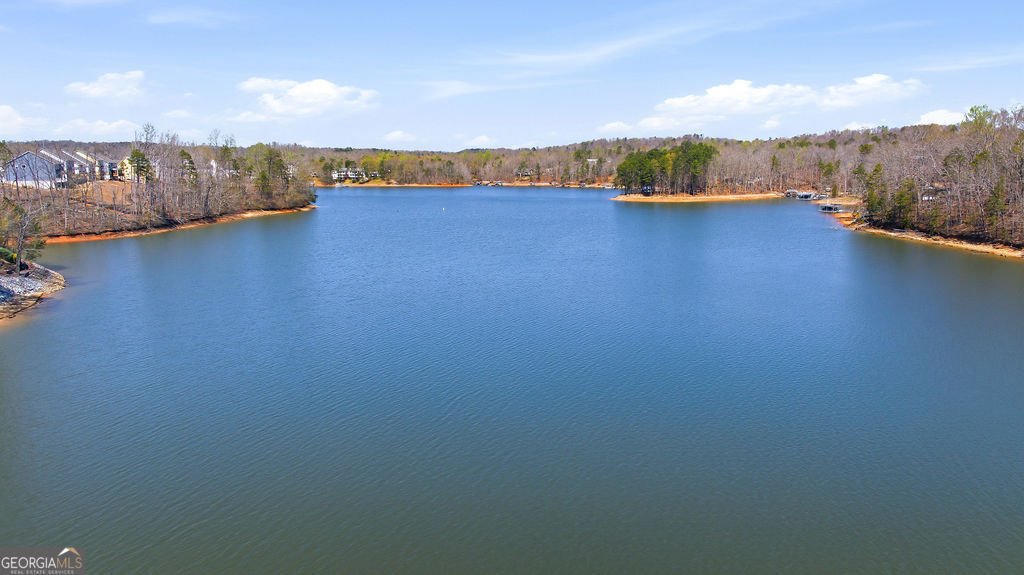 135 Night Fire Lane Dawsonville - Photo 76