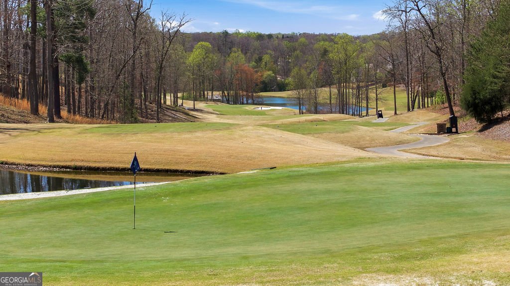 135 Night Fire Lane Dawsonville - Photo 79