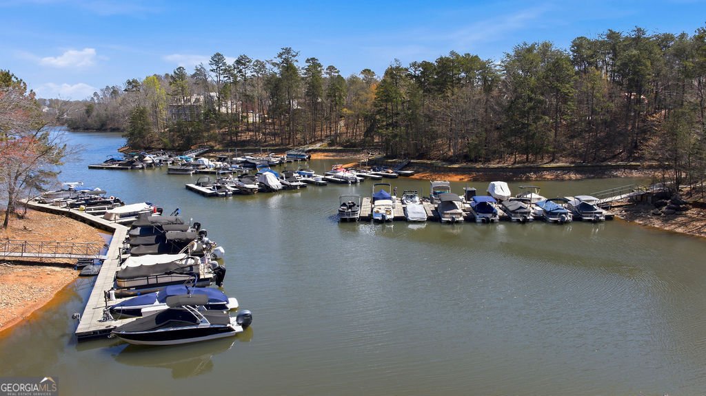 135 Night Fire Lane Dawsonville - Photo 80