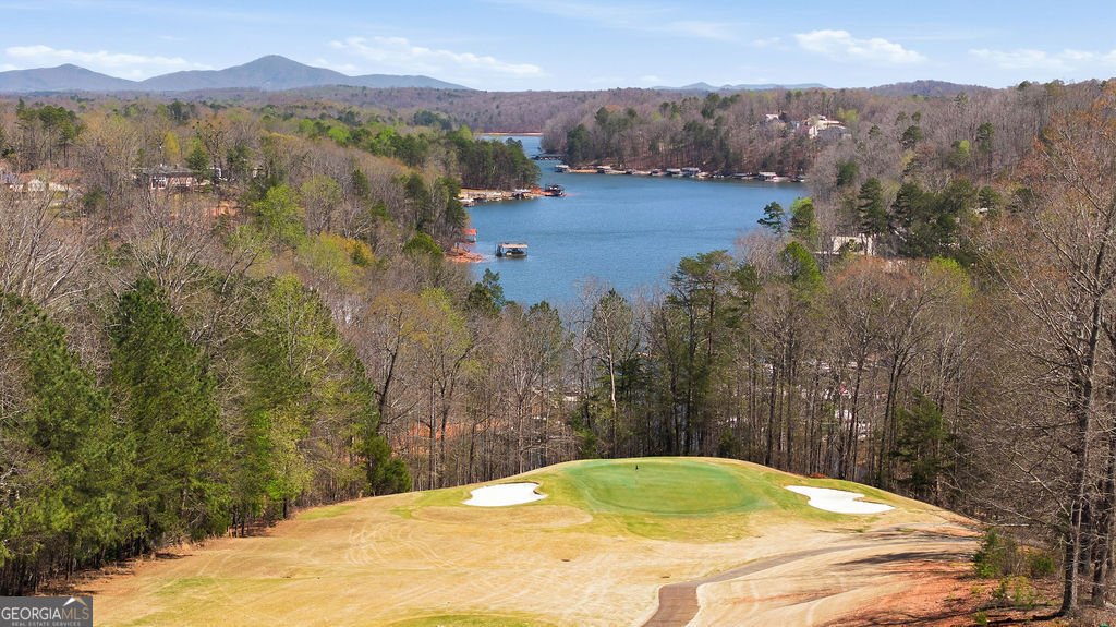 135 Night Fire Lane Dawsonville - Photo 81