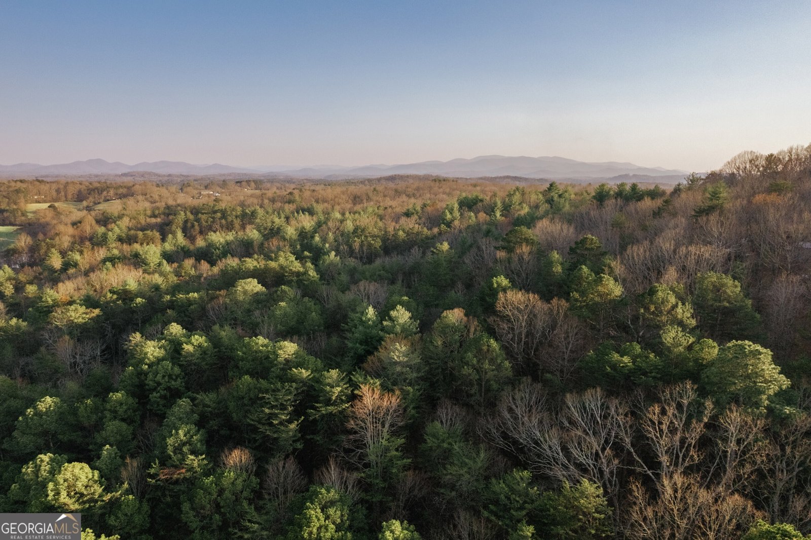 171 Huckleberry Lane Mineral Bluff - Photo 47