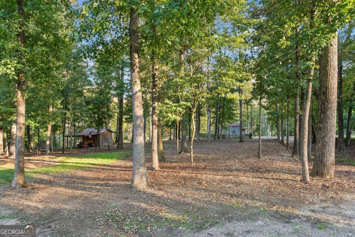 949 Freehome Road Canton - Photo 90