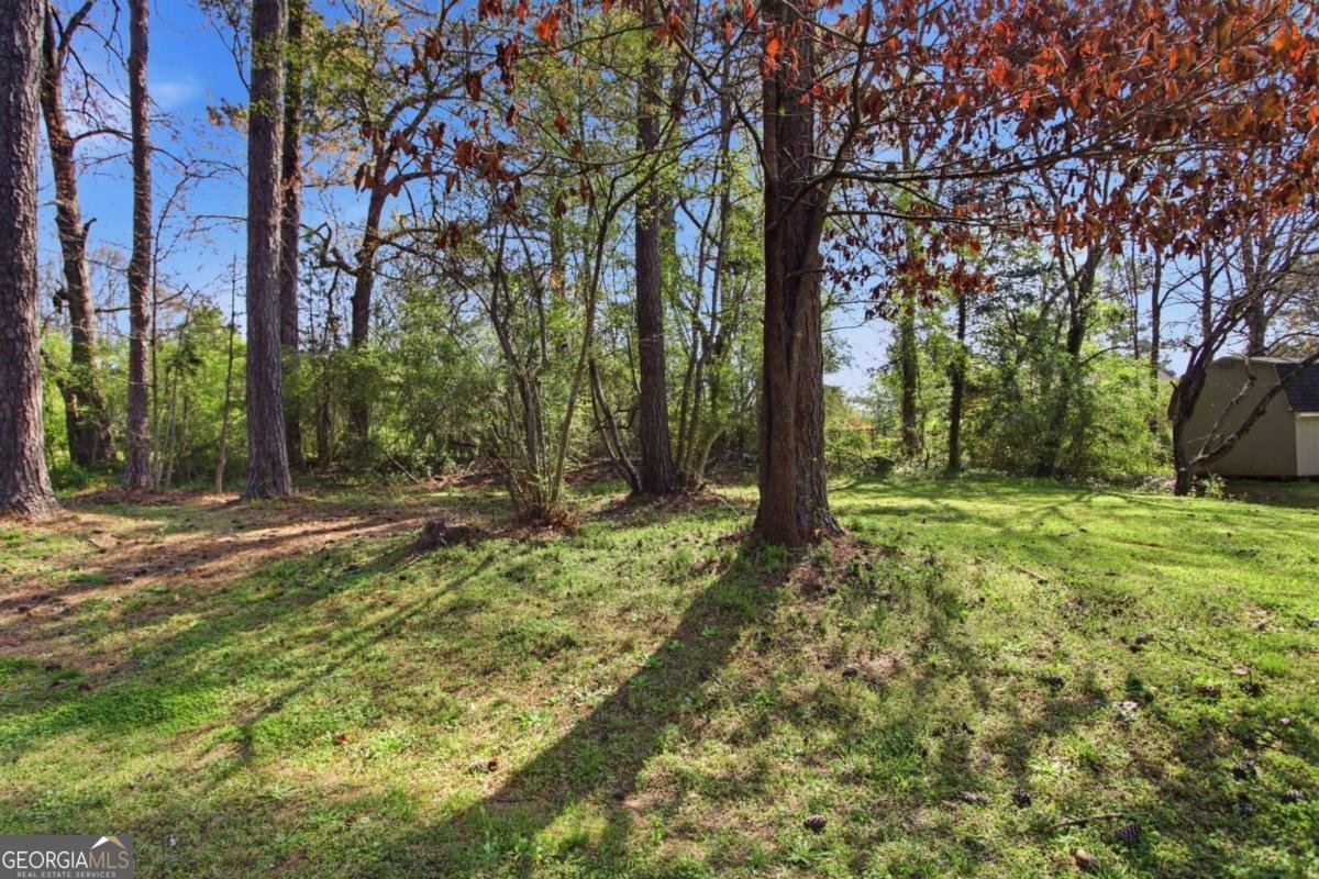 115 Derby Country Drive Ellenwood - Photo 24