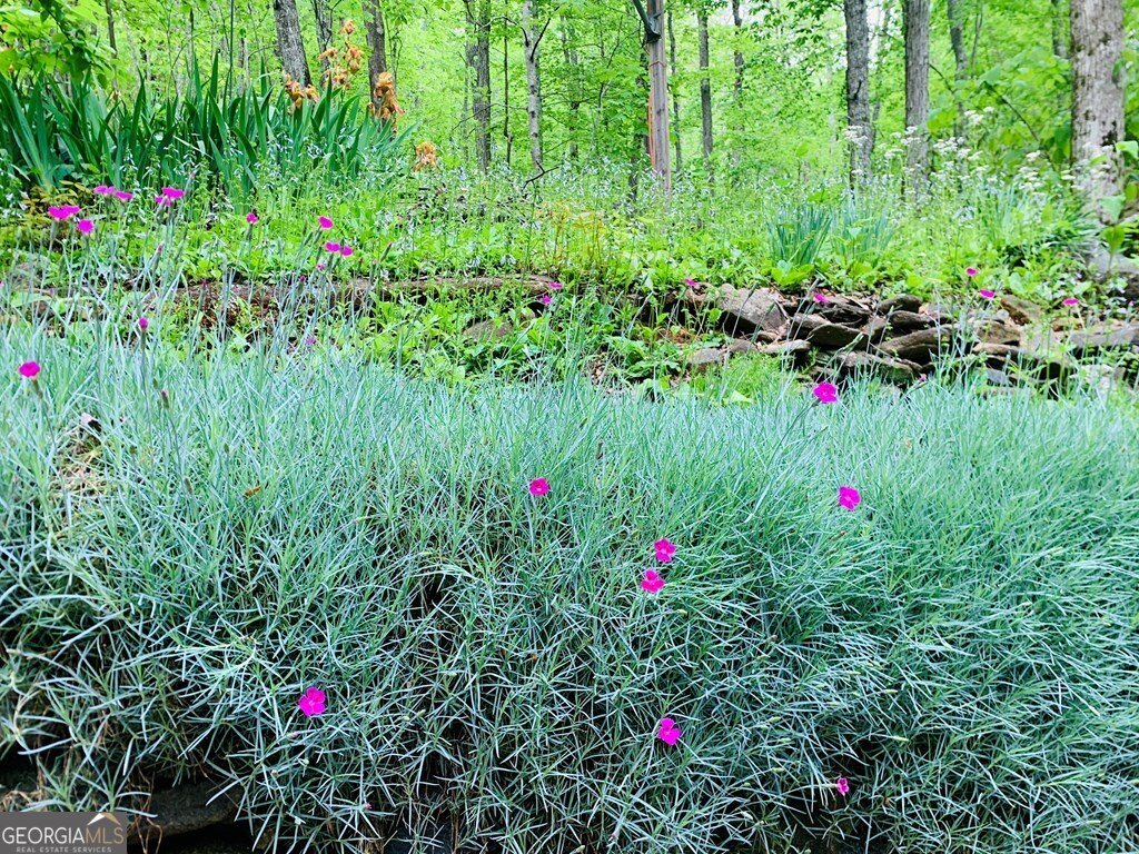 1022 Coweeta Gap Road Otto - Photo 23