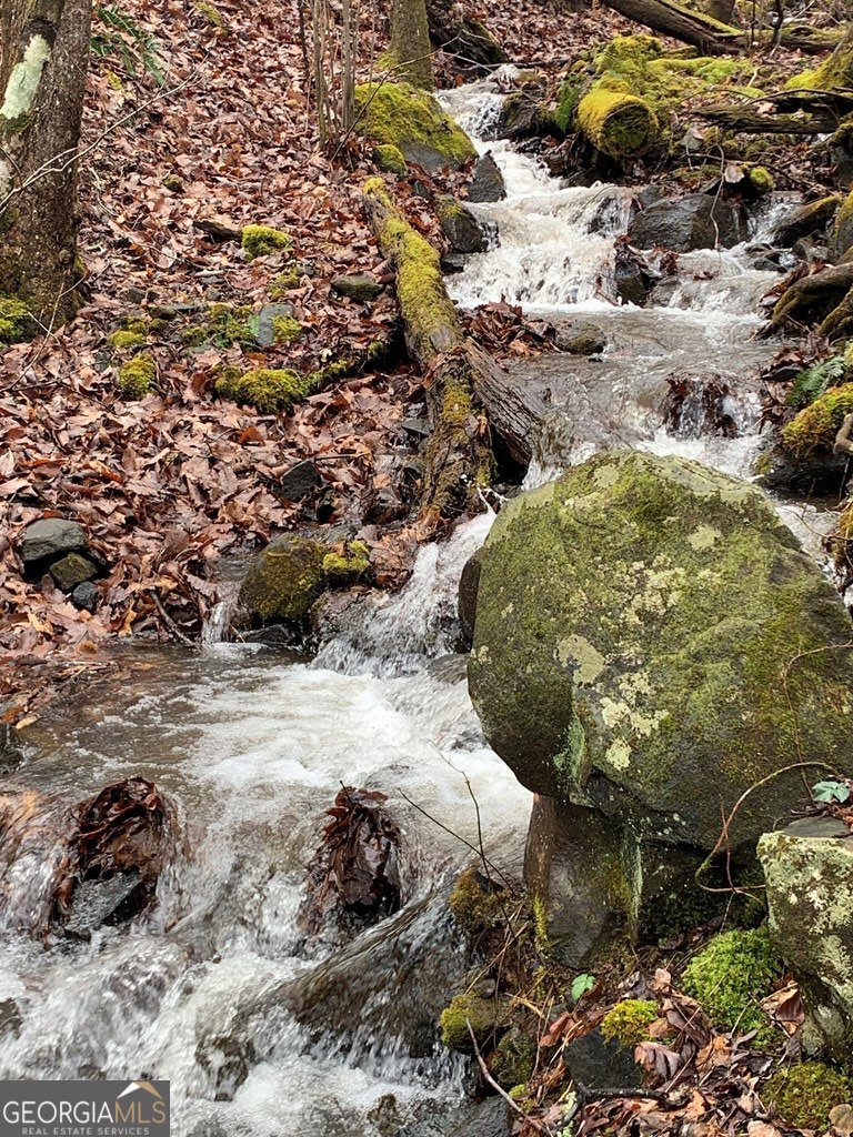 1022 Coweeta Gap Road Otto - Photo 25