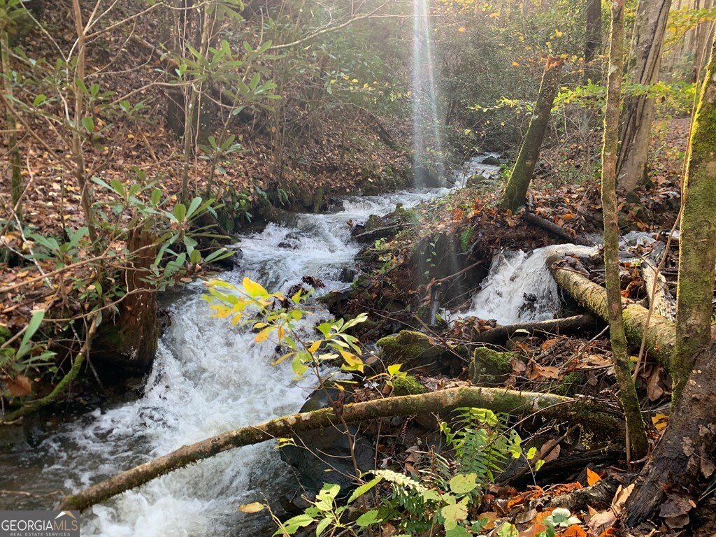 1022 Coweeta Gap Road Otto - Photo 26