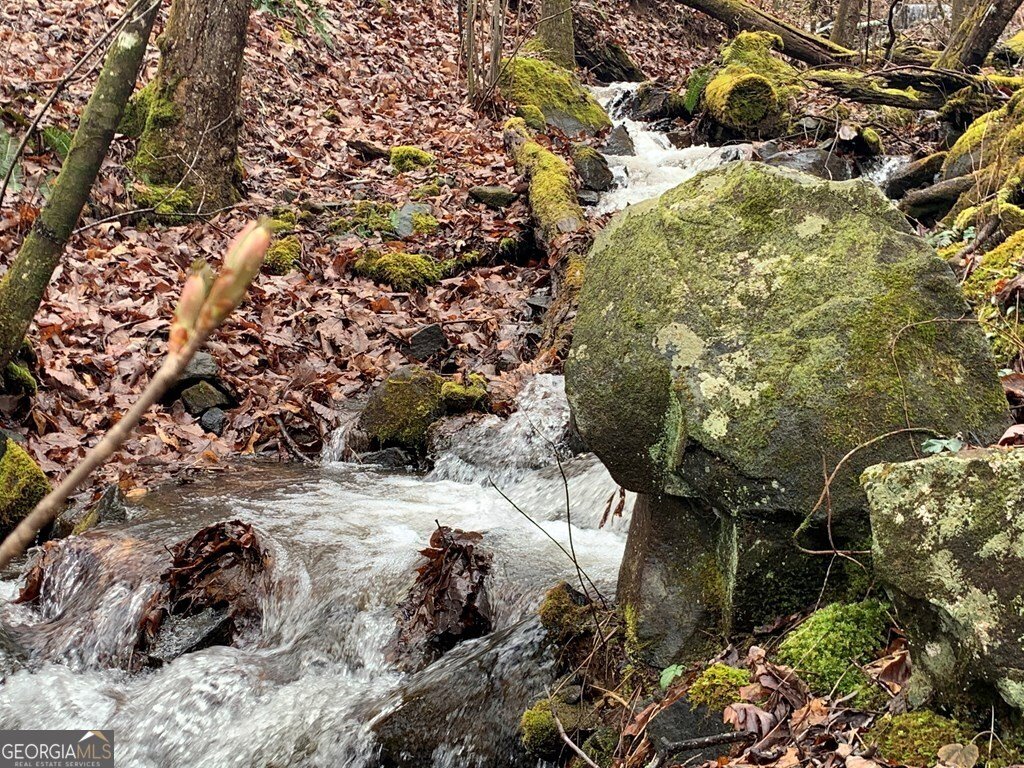 1022 Coweeta Gap Road Otto - Photo 29