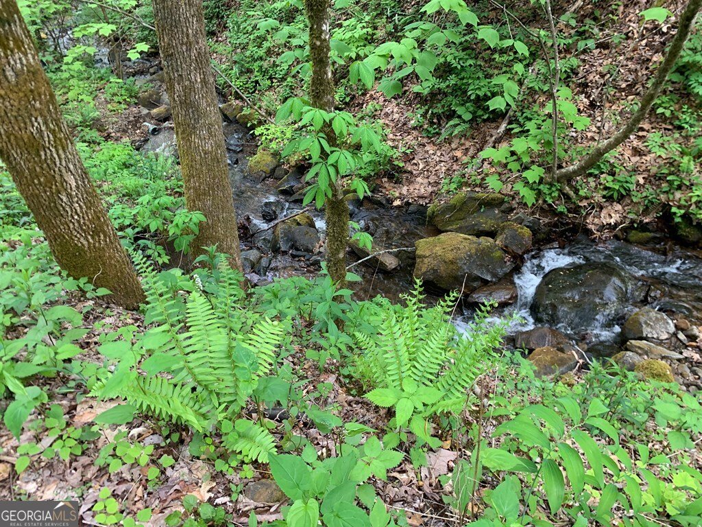 1022 Coweeta Gap Road Otto - Photo 31