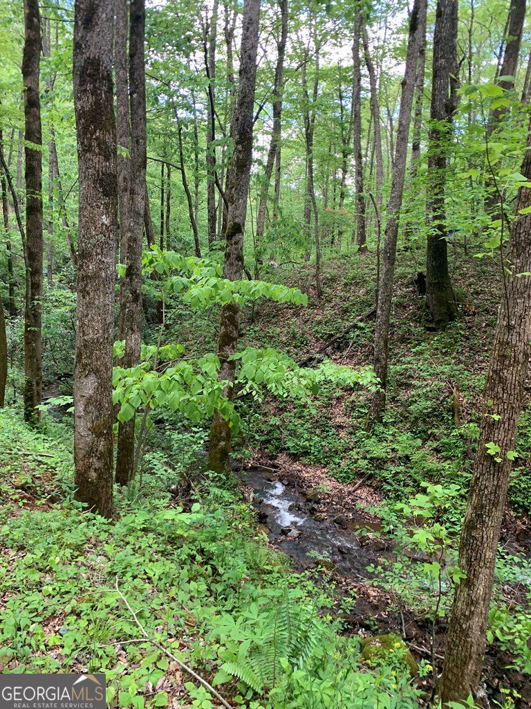 1022 Coweeta Gap Road Otto - Photo 32