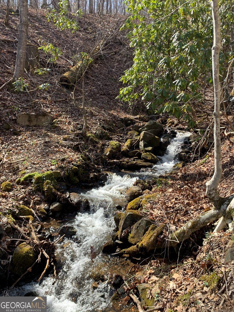 1022 Coweeta Gap Road Otto - Photo 34