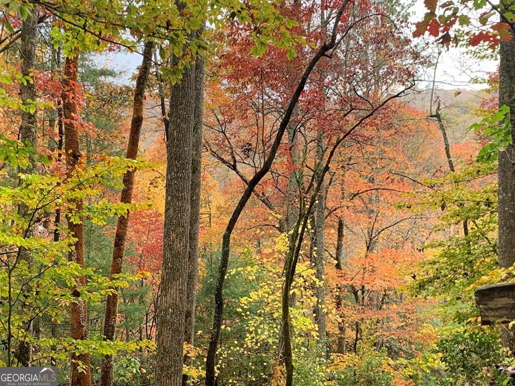 1022 Coweeta Gap Road Otto - Photo 35