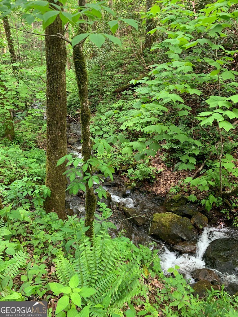 1022 Coweeta Gap Road Otto - Photo 36