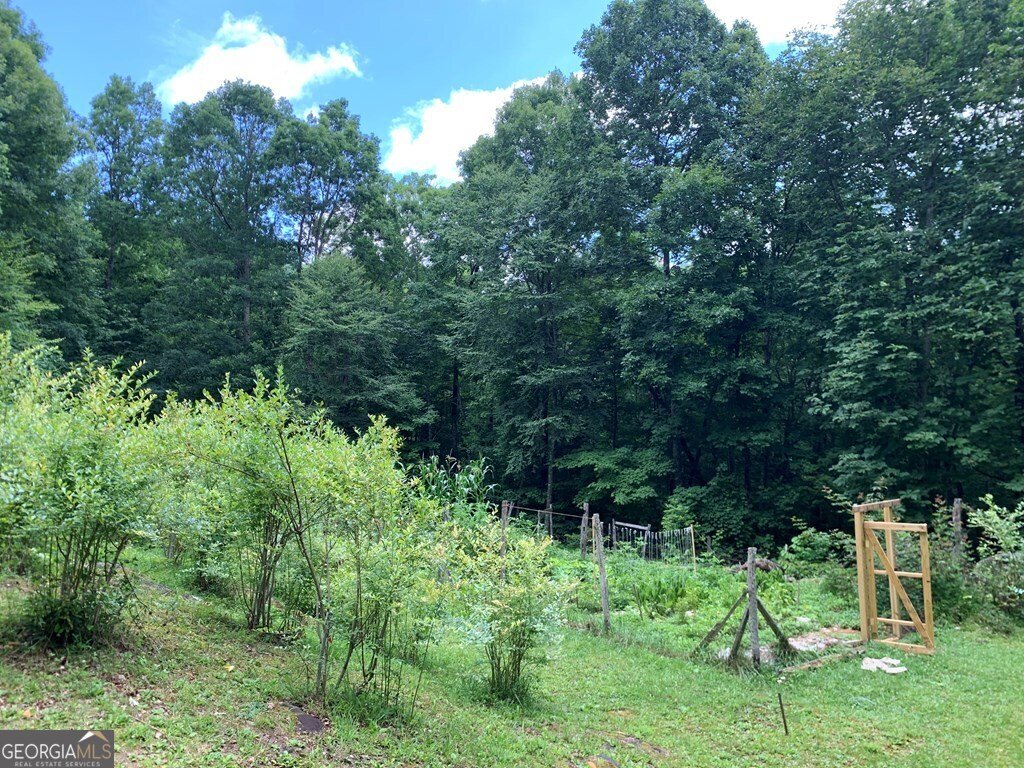 1022 Coweeta Gap Road Otto - Photo 37