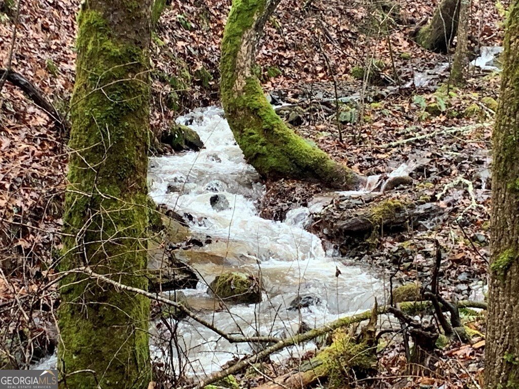 1022 Coweeta Gap Road Otto - Photo 38