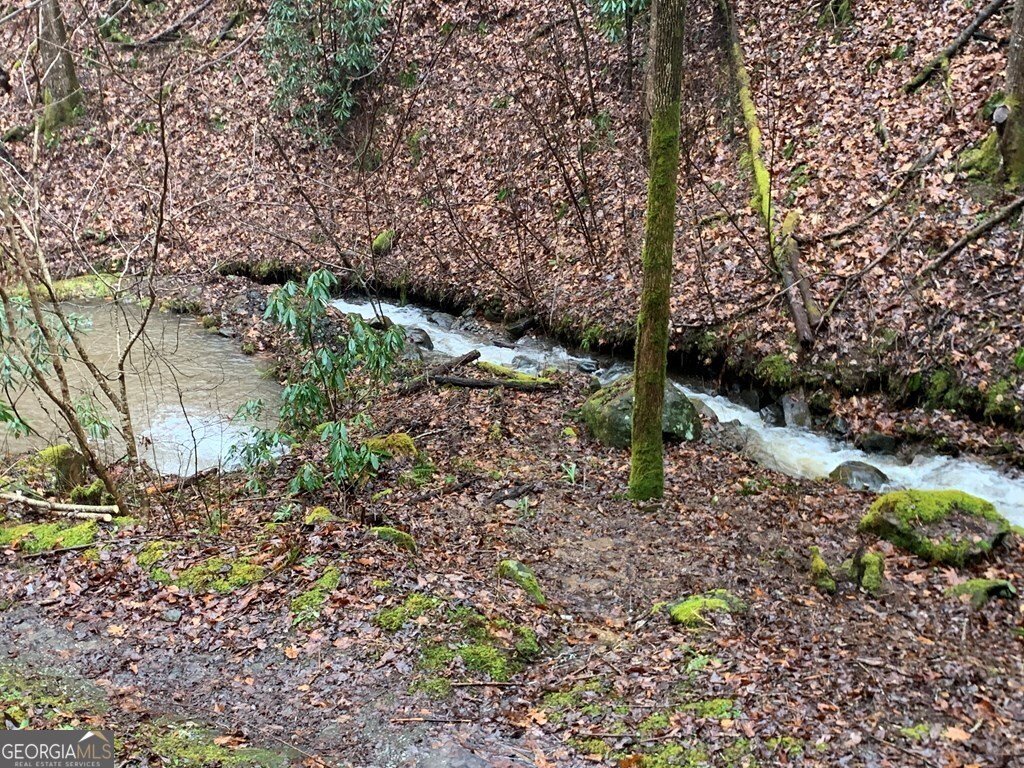 1022 Coweeta Gap Road Otto - Photo 39