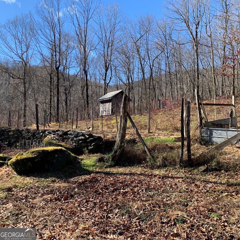 1022 Coweeta Gap Road Otto - Photo 40