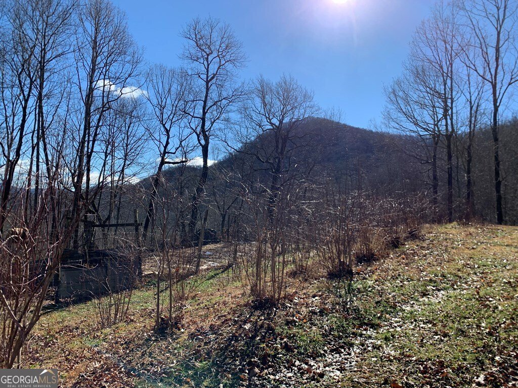 1022 Coweeta Gap Road Otto - Photo 41