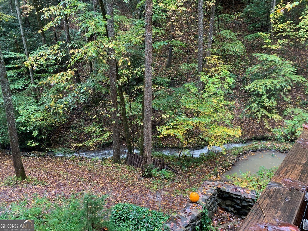 1022 Coweeta Gap Road Otto - Photo 44