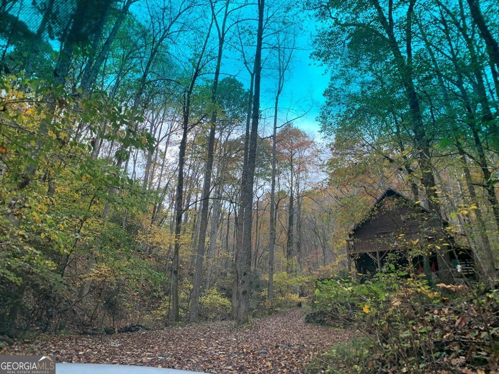 1022 Coweeta Gap Road Otto - Photo 45